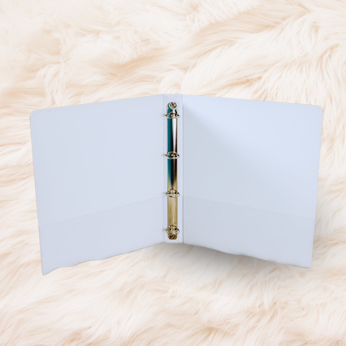 Organist Binder